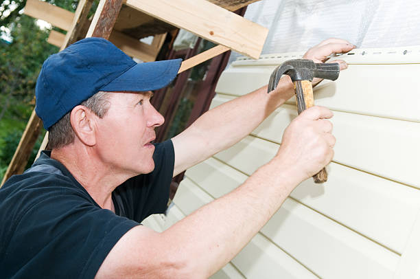 Best Insulated Siding Installation  in Paden City, WV