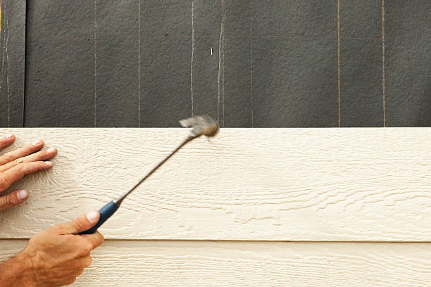 Best Custom Siding Design  in Paden City, WV